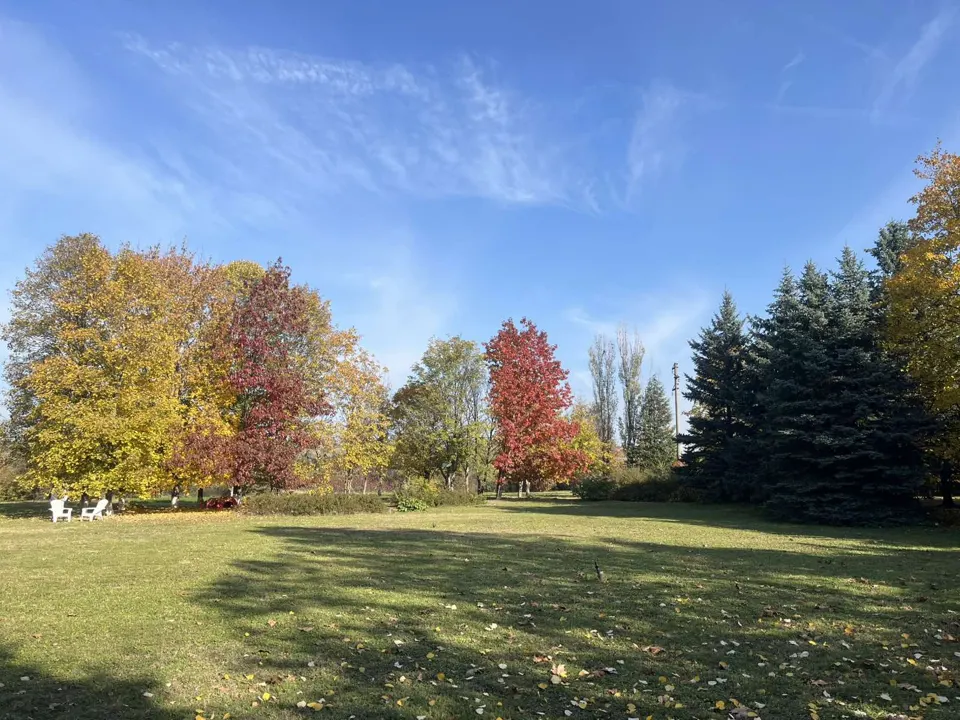 Garden · Krushari Gardens